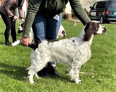 judy_techanovice2022 (2).jpg, 103kB